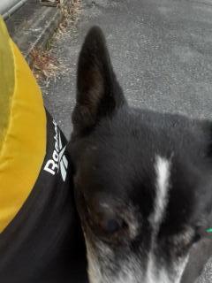 摜(240x320)Eg摜(480x640)