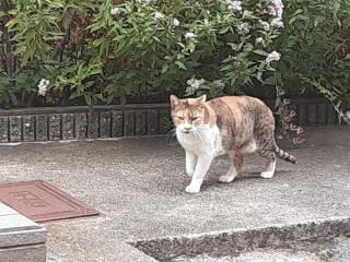 摜(320x240)Eg摜(640x480)