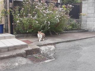 摜(320x240)Eg摜(640x480)