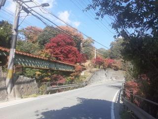 画像(320x240)・拡大画像(640x480)