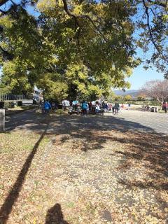 画像(240x320)・拡大画像(480x640)