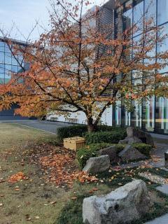 摜(240x320)Eg摜(480x640)