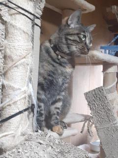 摜(240x320)Eg摜(480x640)