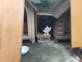 摜(320x240)Eg摜(640x480)