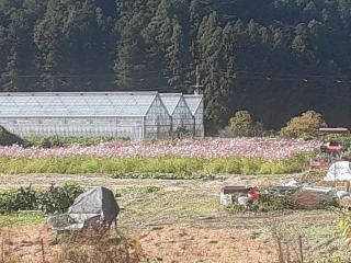 画像(320x240)・拡大画像(640x480)