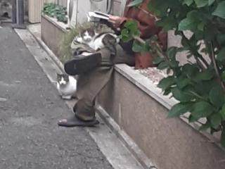 摜(320x240)Eg摜(640x480)