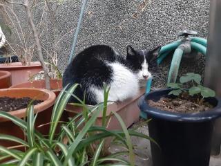 摜(320x240)Eg摜(640x480)