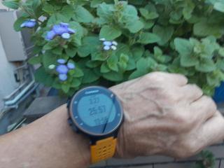 画像(320x240)・拡大画像(640x480)