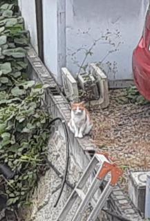 摜(217x320)Eg摜(434x640)