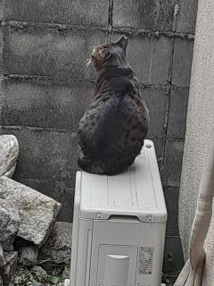 画像(240x320)・拡大画像(480x640)