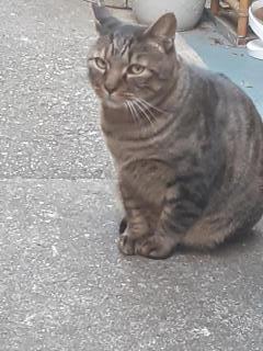 画像(240x320)・拡大画像(480x640)