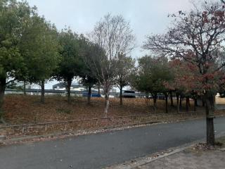 摜(320x240)Eg摜(640x480)