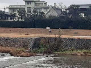 �摜(320x240)�E�g��摜(640x480)