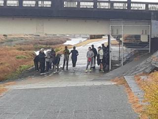 �摜(320x240)�E�g��摜(640x480)