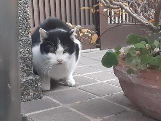 �摜(320x240)�E�g��摜(640x480)