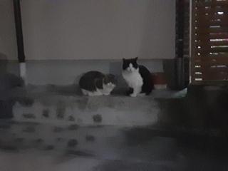 �摜(320x240)�E�g��摜(640x480)