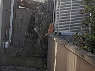 画像(320x240)・拡大画像(640x480)