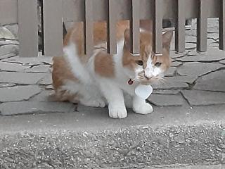 摜(320x240)Eg摜(640x480)