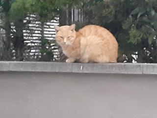 画像(320x240)・拡大画像(640x480)