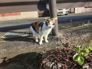 �摜(320x240)�E�g��摜(640x480)