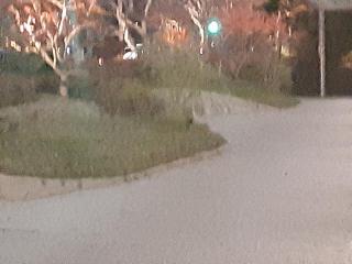 画像(320x240)・拡大画像(640x480)