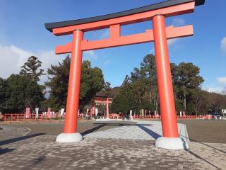 画像(320x240)・拡大画像(640x480)