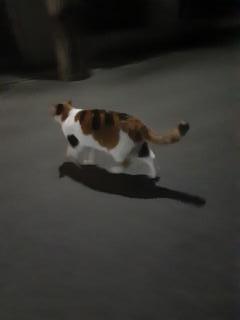 画像(240x320)・拡大画像(480x640)