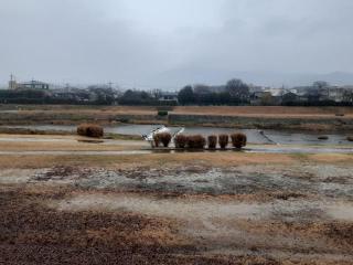 �摜(320x240)�E�g��摜(640x480)