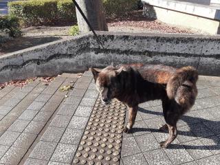 �摜(320x240)�E�g��摜(640x480)