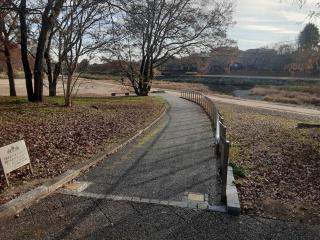 �摜(320x240)�E�g��摜(640x480)