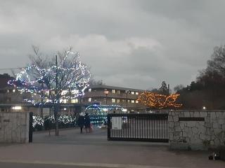 画像(320x240)・拡大画像(640x480)