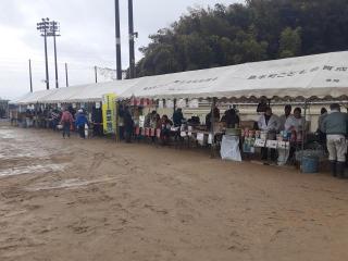 画像(320x240)・拡大画像(640x480)