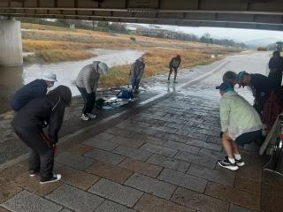 �摜(320x240)�E�g��摜(640x480)