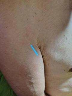 画像(240x320)・拡大画像(480x640)