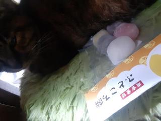 摜(320x240)Eg摜(640x480)