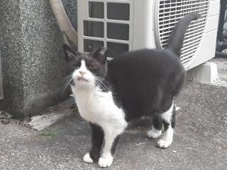 摜(320x240)Eg摜(640x480)