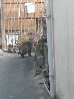 �摜(240x320)�E�g��摜(480x640)