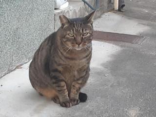 摜(320x240)Eg摜(640x480)