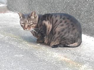 摜(320x240)Eg摜(640x480)