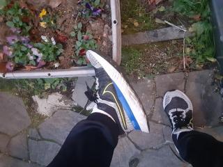 画像(320x240)・拡大画像(640x480)