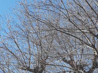 摜(320x240)Eg摜(640x480)