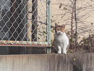 画像(320x240)・拡大画像(640x480)