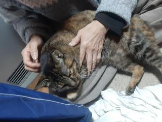 摜(320x240)Eg摜(640x480)