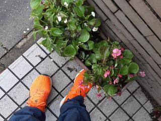 画像(320x240)・拡大画像(640x480)