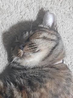 摜(240x320)Eg摜(480x640)