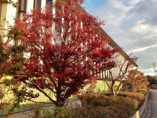 摜(320x240)Eg摜(640x480)