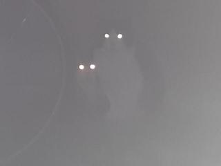 画像(320x240)・拡大画像(640x480)