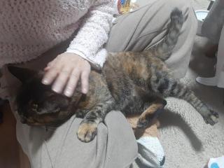 画像(320x240)・拡大画像(640x480)