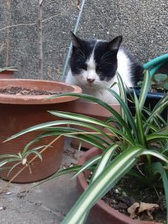 摜(240x320)Eg摜(480x640)