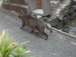 �摜(320x240)�E�g��摜(640x480)